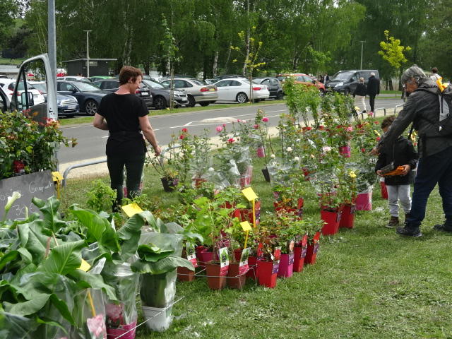 8ième Foire aux Plants Plantes et Brocante du jardin Ballan Miré