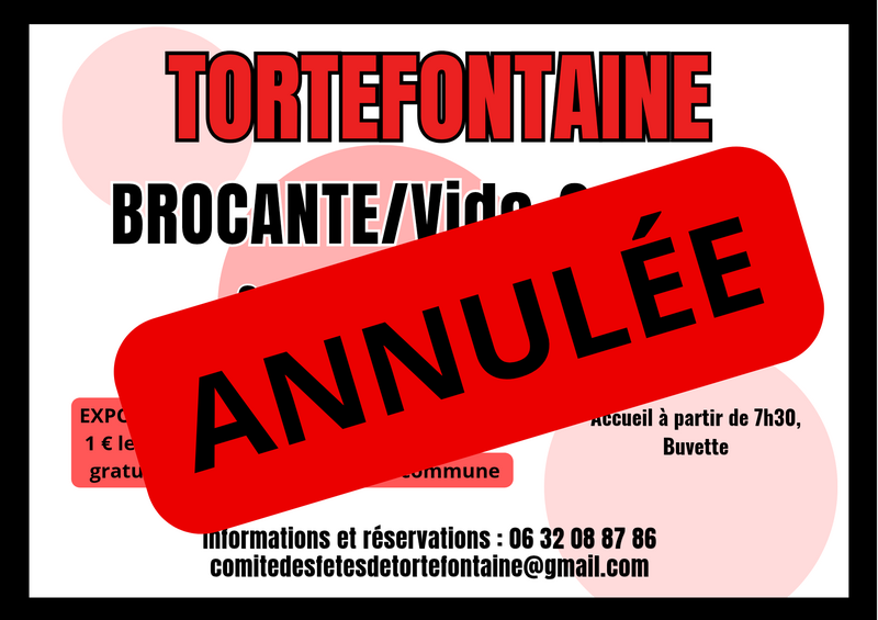 Vide-grenier à Tortefontaine
