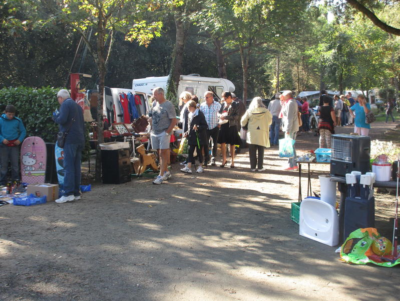 Vide Grenier La Membrolle Sur Longuenee 2022